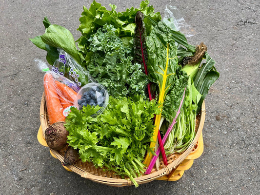 ６月３０日火曜日・７月１日水曜日・３日金曜日・４日土曜日発送のお野菜はこちら