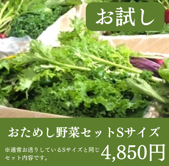 お試しセット