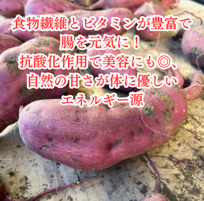 まるベジ（さつまいも）定期便5袋