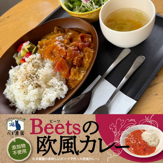 たま農園の美味しいビーツの欧風カレー！3袋セット【送料込（クール便）】