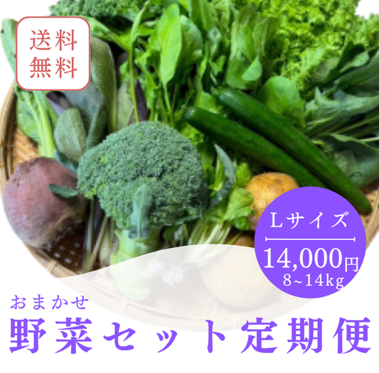 定期便　火~水曜日発送【たま野菜セット　Lサイズ】送料無料(クール便)