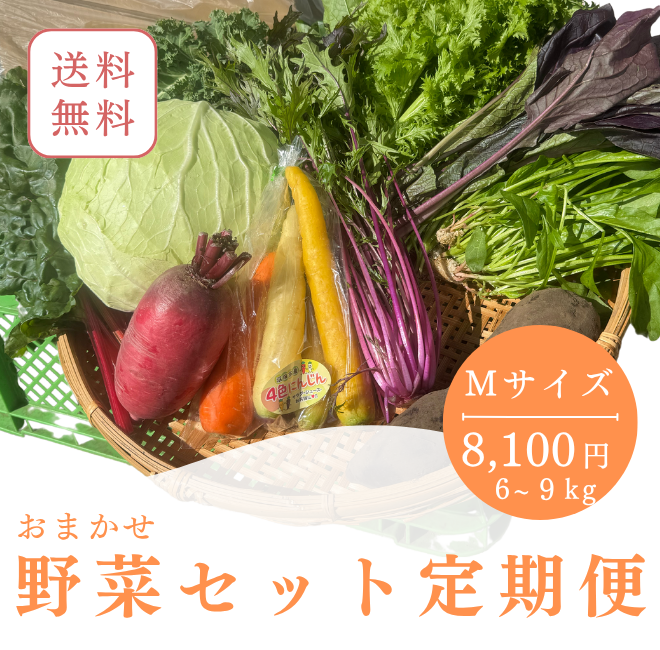 定期便　火~水曜日発送【たま野菜セット　Mサイズ】送料無料(クール便)