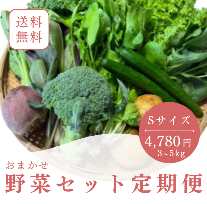 定期便　火~水曜日発送【たま野菜セット　Sサイズ】送料無料(クール便)