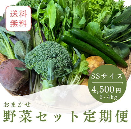 定期便　火~水曜日発送【たま野菜セット　SSサイズ】送料無料(クール便)