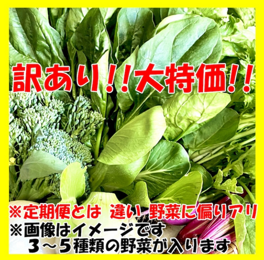 訳あり！野菜セット