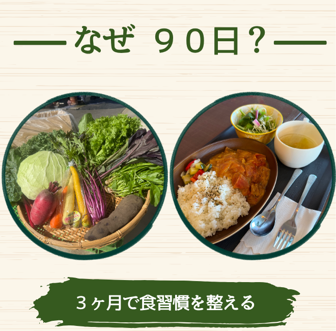 【30名限定】食べるボディケア 90日コース