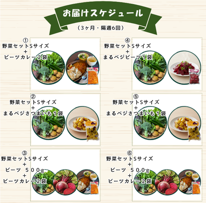 【30名限定】食べるボディケア 90日コース