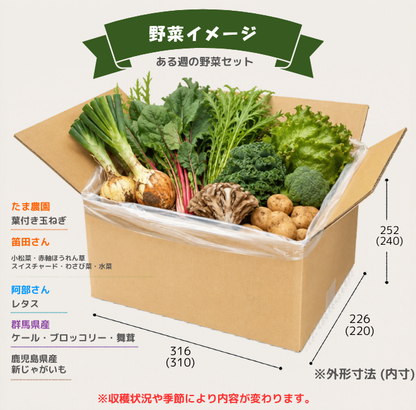 【30名限定】食べるボディケア 90日コース