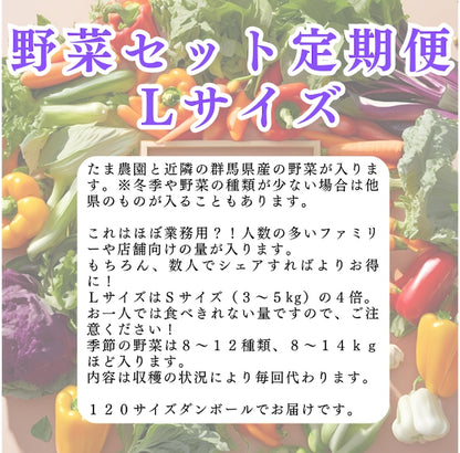 定期便　火~水曜日発送【たま野菜セット　Lサイズ】送料無料(クール便)