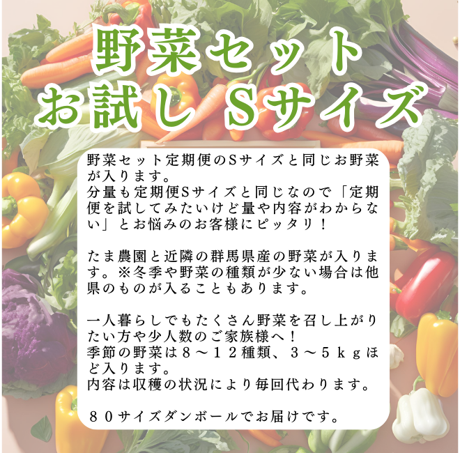 【何回でも！】おためし野菜セットSサイズ 【送料込】