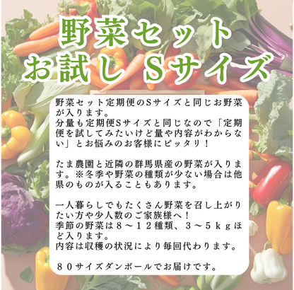 【何回でも！】おためし野菜セットSサイズ 【送料込】