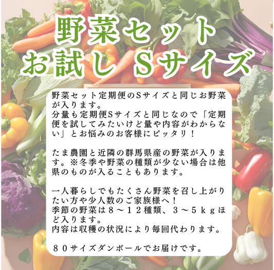 【何回でも！】おためし野菜セットSサイズ 【送料込】