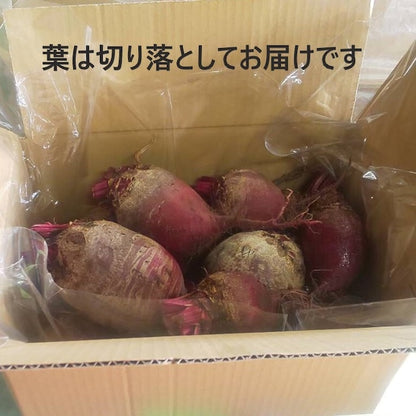 【生ビーツ　約2～3kg：農薬は使っていません】クール便：送料別