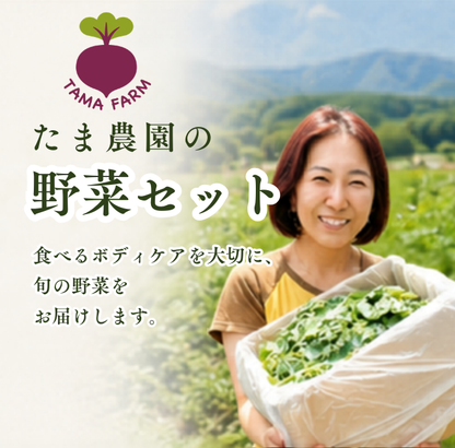 定期便　火~水曜日発送【たま野菜セット　SSサイズ】送料無料(クール便)