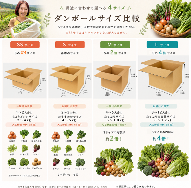 定期便　火~水曜日発送【たま野菜セット　SSサイズ】送料無料(クール便)