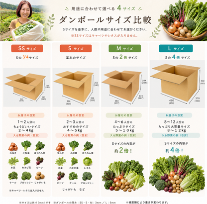 定期便　火~水曜日発送【たま野菜セット　SSサイズ】送料無料(クール便)