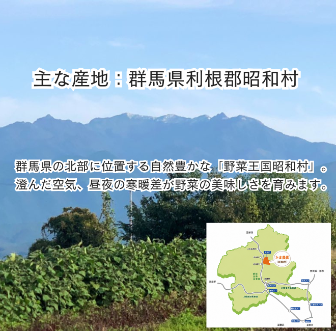 定期便　火~水曜日発送【たま野菜セット　SSサイズ】送料無料(クール便)