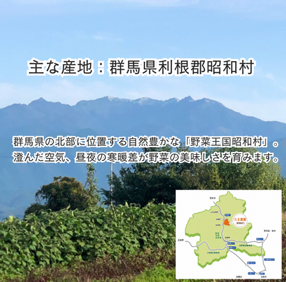定期便　火~水曜日発送【たま野菜セット　SSサイズ】送料無料(クール便)
