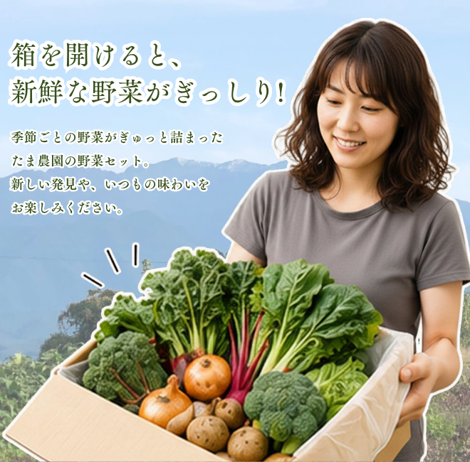 定期便　火~水曜日発送【たま野菜セット　SSサイズ】送料無料(クール便)