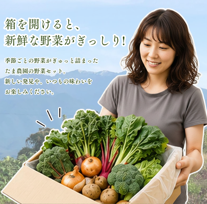 定期便　火~水曜日発送【たま野菜セット　SSサイズ】送料無料(クール便)
