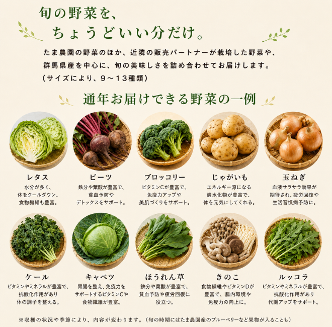定期便　火~水曜日発送【たま野菜セット　SSサイズ】送料無料(クール便)