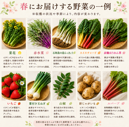 定期便　火~水曜日発送【たま野菜セット　SSサイズ】送料無料(クール便)