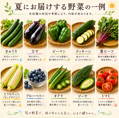 定期便　火~水曜日発送【たま野菜セット　SSサイズ】送料無料(クール便)