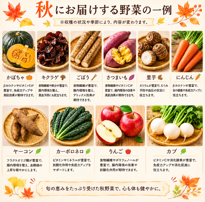 定期便　火~水曜日発送【たま野菜セット　SSサイズ】送料無料(クール便)