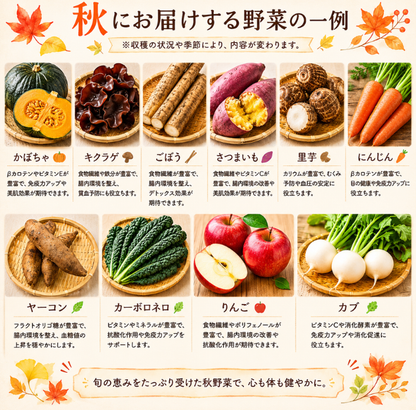 定期便　火~水曜日発送【たま野菜セット　SSサイズ】送料無料(クール便)