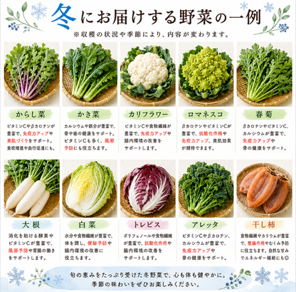 定期便　火~水曜日発送【たま野菜セット　SSサイズ】送料無料(クール便)