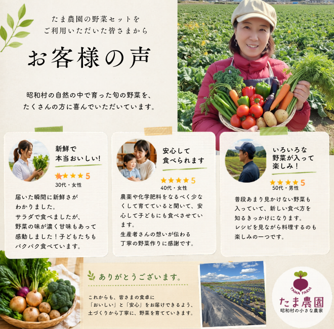 定期便　火~水曜日発送【たま野菜セット　SSサイズ】送料無料(クール便)