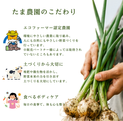 定期便　火~水曜日発送【たま野菜セット　SSサイズ】送料無料(クール便)