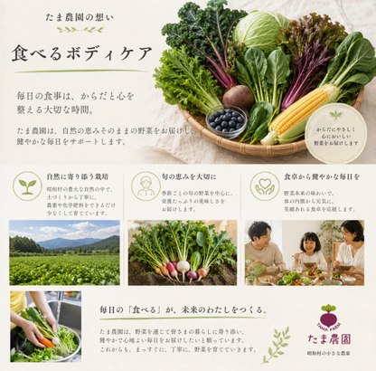 定期便　火~水曜日発送【たま野菜セット　SSサイズ】送料無料(クール便)